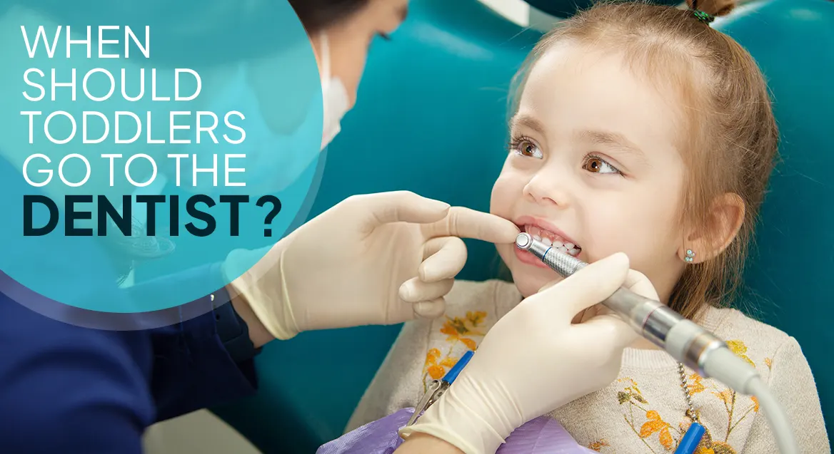 When Should Toddlers Go to the Dentist